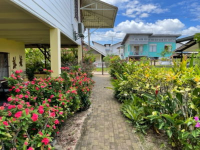 House Garden View